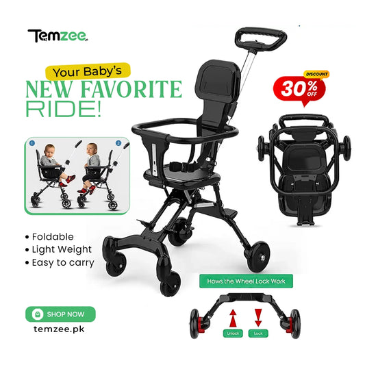 Smart Buggy Stroller